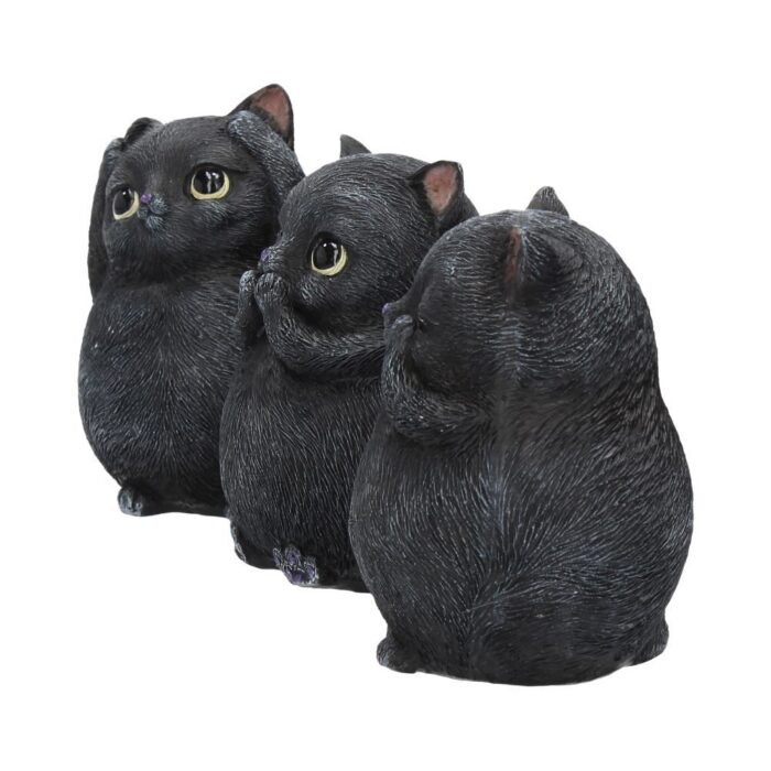 3-wise-fat-cats